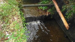 �r���H�̑ꂪ����