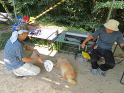 �o�e�o�e�̂����