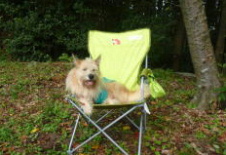 �����b�N�X���[�h�́u�����v