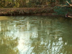 �������������\���グ�܂��I