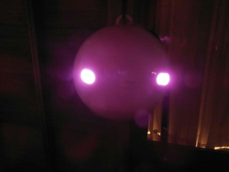 �|�[�������{�̎ʐ^