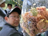 �׍��َ̉q�Řa�ޔˎ�B