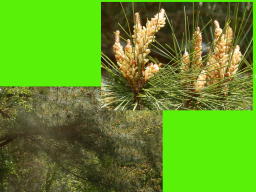 ���ԕ��������Ă��܂��I