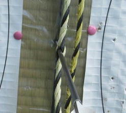 �g�����[�v���ˊт��_�Ƃ����s�I