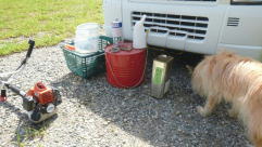 �����K�\�����̒���������u�����v