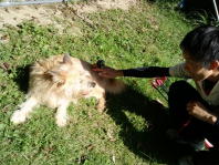 �u�����v�Ɋ��܂ꂩ����B