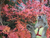 �g�t�̔������Ɂu�����v���v�킸���΁I