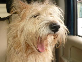 �����͉��ƌ����Ă���̂ł��傤���H