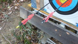 �ڂ���B���I