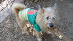 ���������������