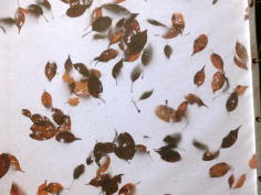 �H�̃j���[���[�h