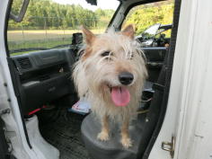 �A����Ñ�����u�����v