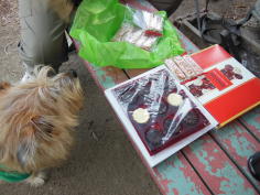 �u�����v���������������ˎ�̓y�Y