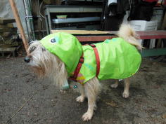 �K�`���s���̉J���H