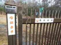 �Ïؔԍ�����͂��ĂˁI