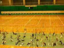 �i�S���C���h�A