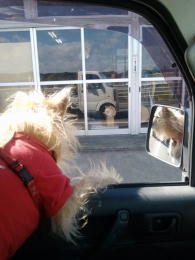 �u�����v�Ŕl�R�𔭌�