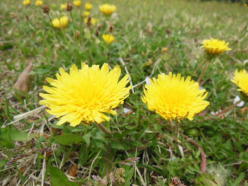 ����ׂ����̂����������̂ŁA�^���|�|�ł��������������I