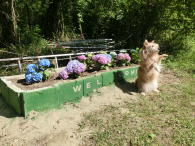 �Ԓd�Ɓu�����v