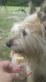 �܂����������������܂���ł����I