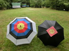 ��点�t�B�[���h�p�P�̎ʐ^