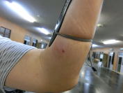 ���Řr��łƂ́E�E�E�E