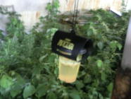 �Ȃ�̌��ʂȂ��I