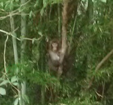 �����L�[�����W