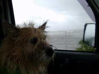 ���ԔG��ɂȂ����Ⴝ�I