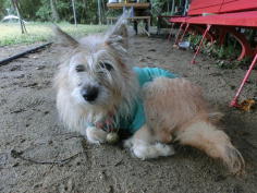 ���ʎQ���́u�����v