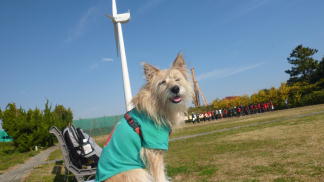 �u�����v�Ȃ�ǌ��q�͂ɂ��炸�B