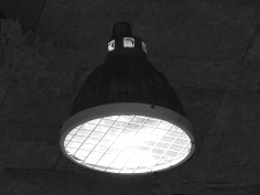 �A�_���X�L�[�^�̂t�e�n