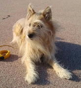 ����񂿂��