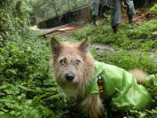 �������y�؊ē�