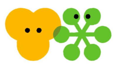 ���R���A����