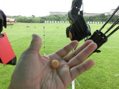 ���N�A�^�[���w�w�w