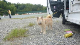 �Ȃ��Ȃ��ŁI