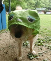 �K�`���s����