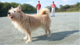 �������R����