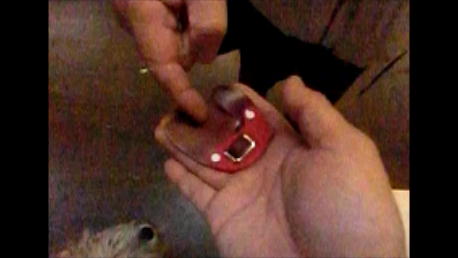 �^�u���b�h