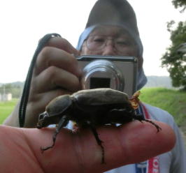 �J�u�g���V