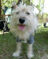 �������R����