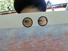 3D�����̂����ˎ�