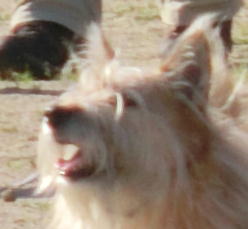 �ꌾ��悷��u�����v