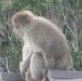 �T�����P