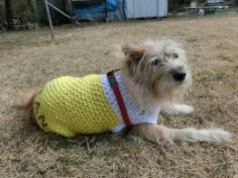 �|�[�Y�����߂�u�E�����v�����