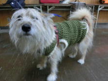 �f�G�ȃZ�[�^�[