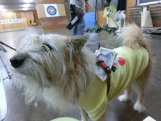 ��点�ʐ^�ŃM���������炤�u�����v