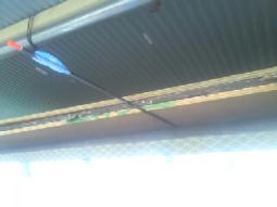 �R���p�l�ɖ����I