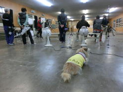 ���J���ȕ\��